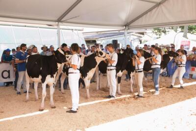 Purina-9704